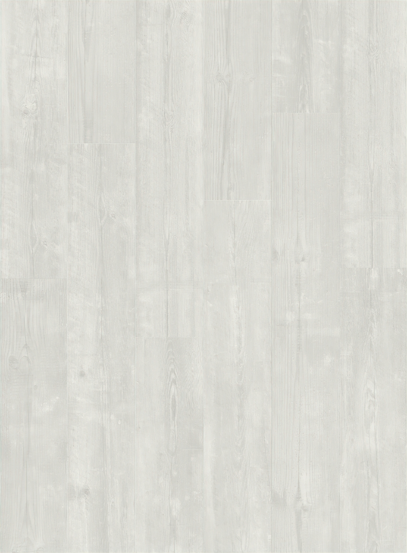 Alpha Bloom - Snow Pine