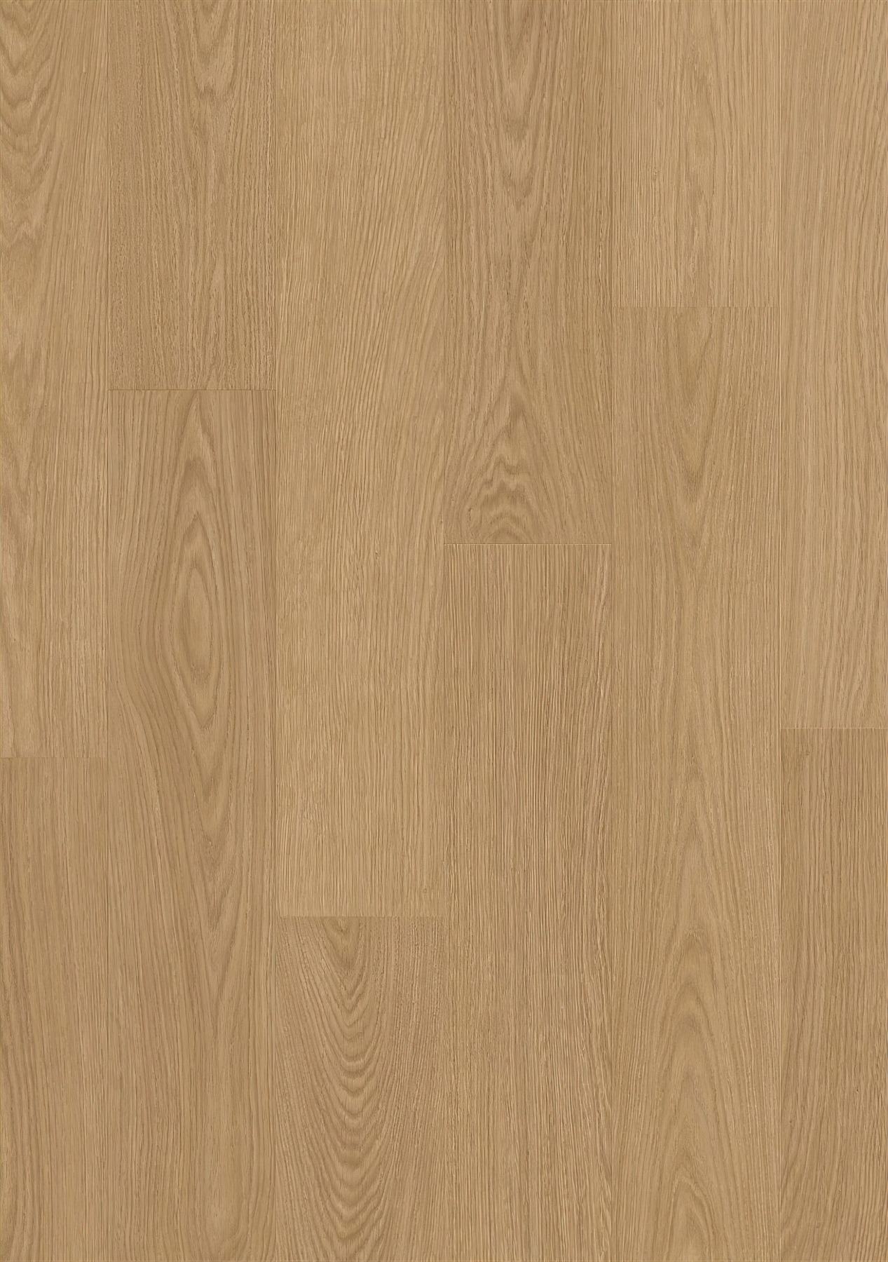 Alpha Blos - Gingerbread Oak