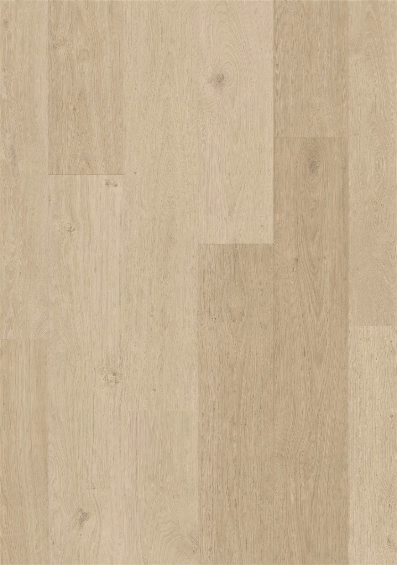 Alpha Blos - Coast Oak Sand