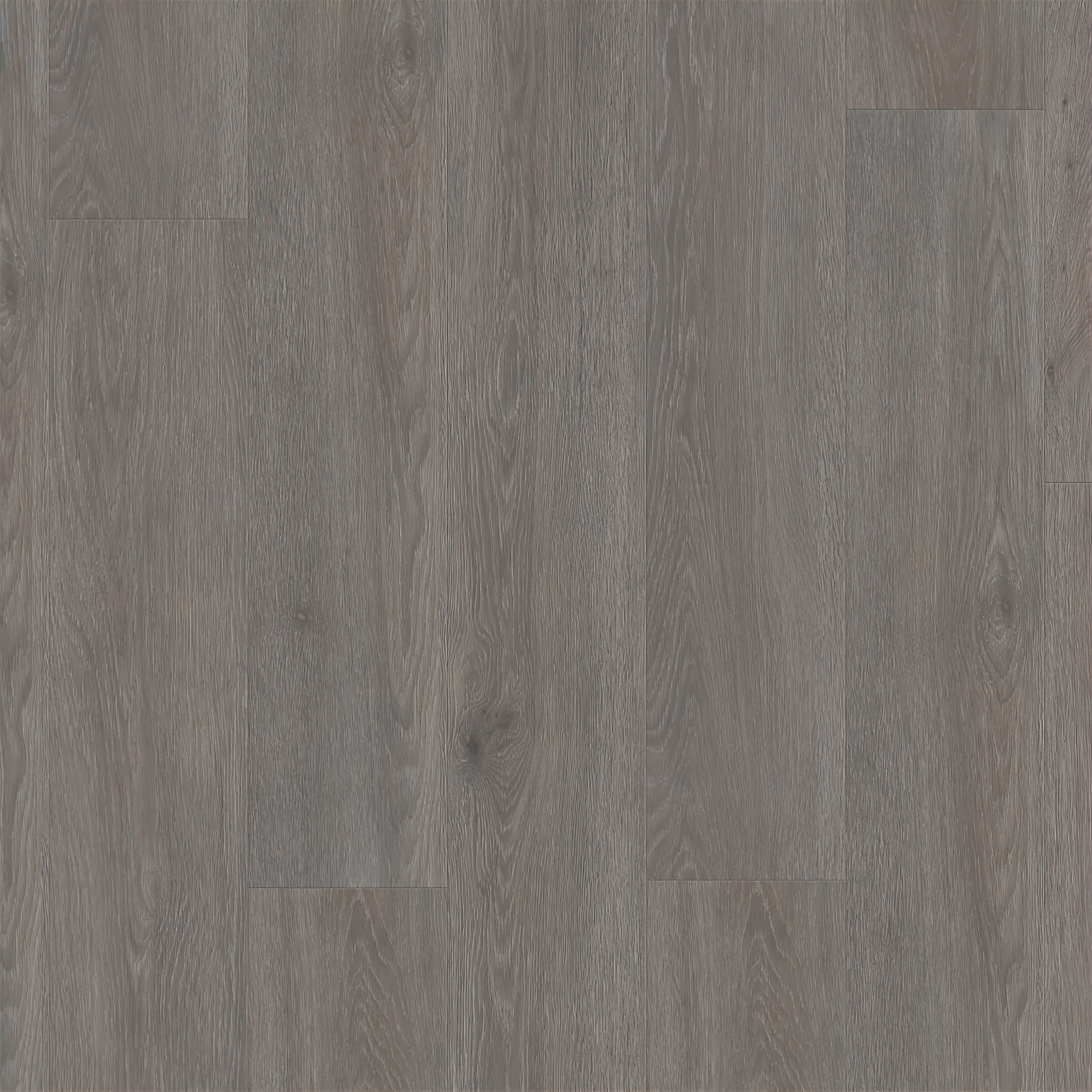 Alpha Blos - Silk Oak Dark Grey