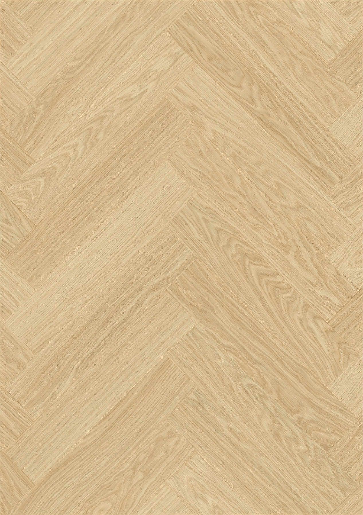 Alpha Ciro - Pure Oak Blush