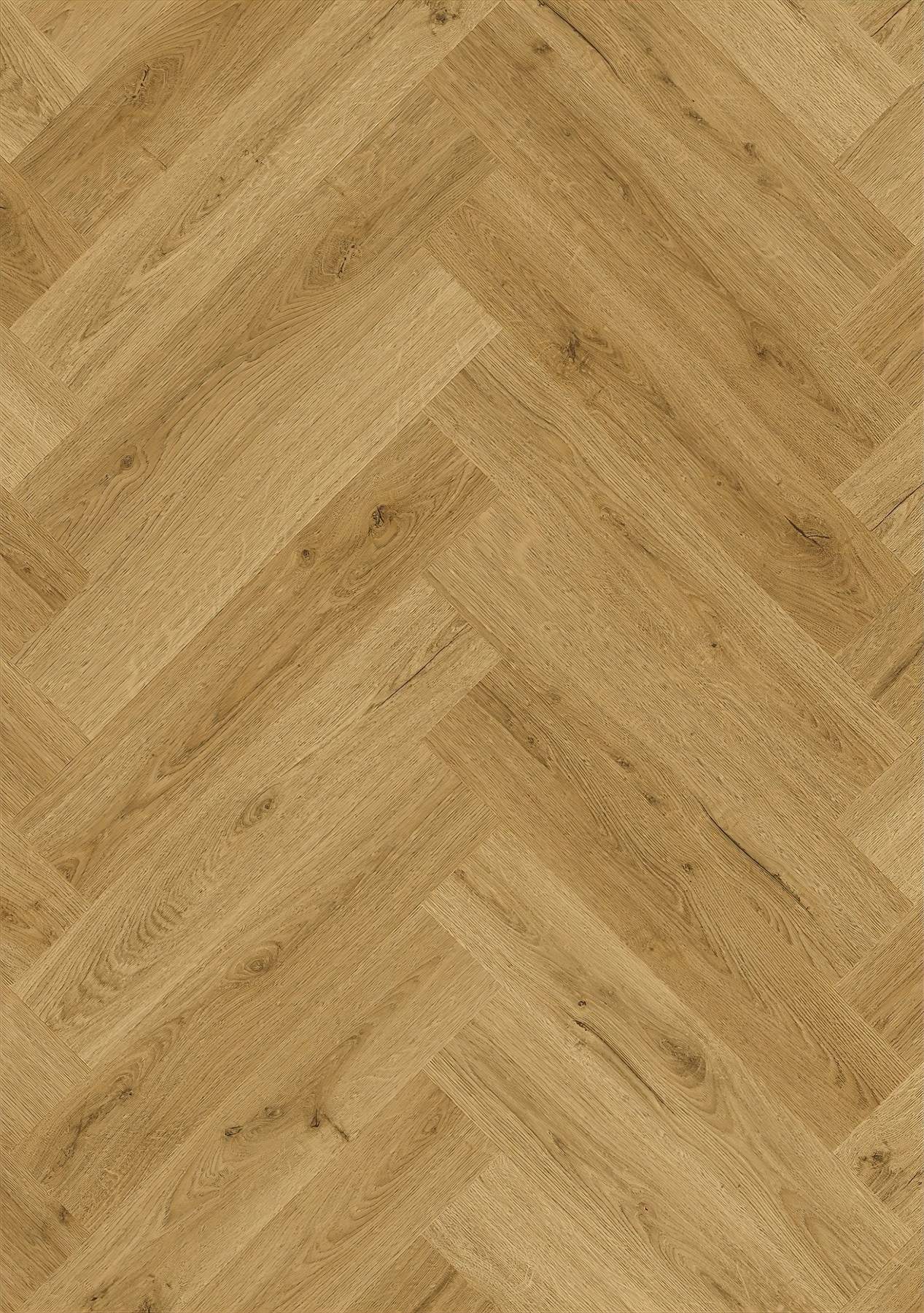 Alpha Ciro - Botanic Smoked Oak