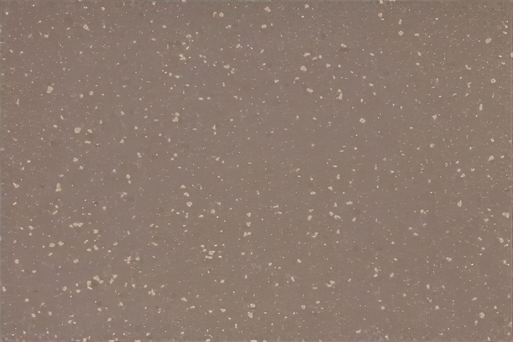 Altro Aquarius - Otter