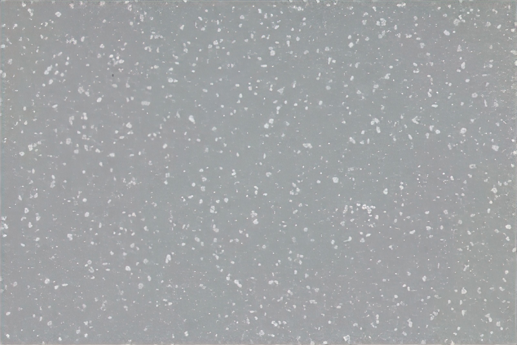 Altro Aquarius - Tern