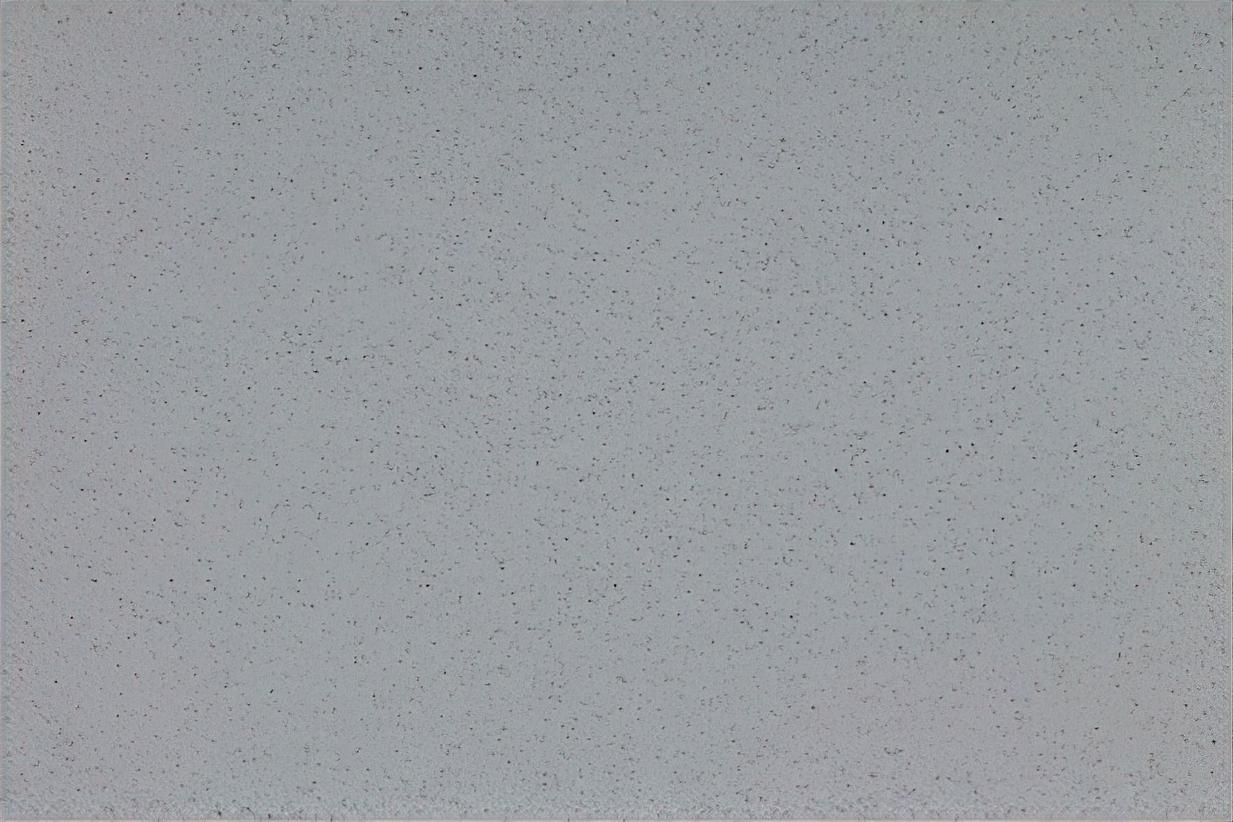 Altro Aquarius - Walrus