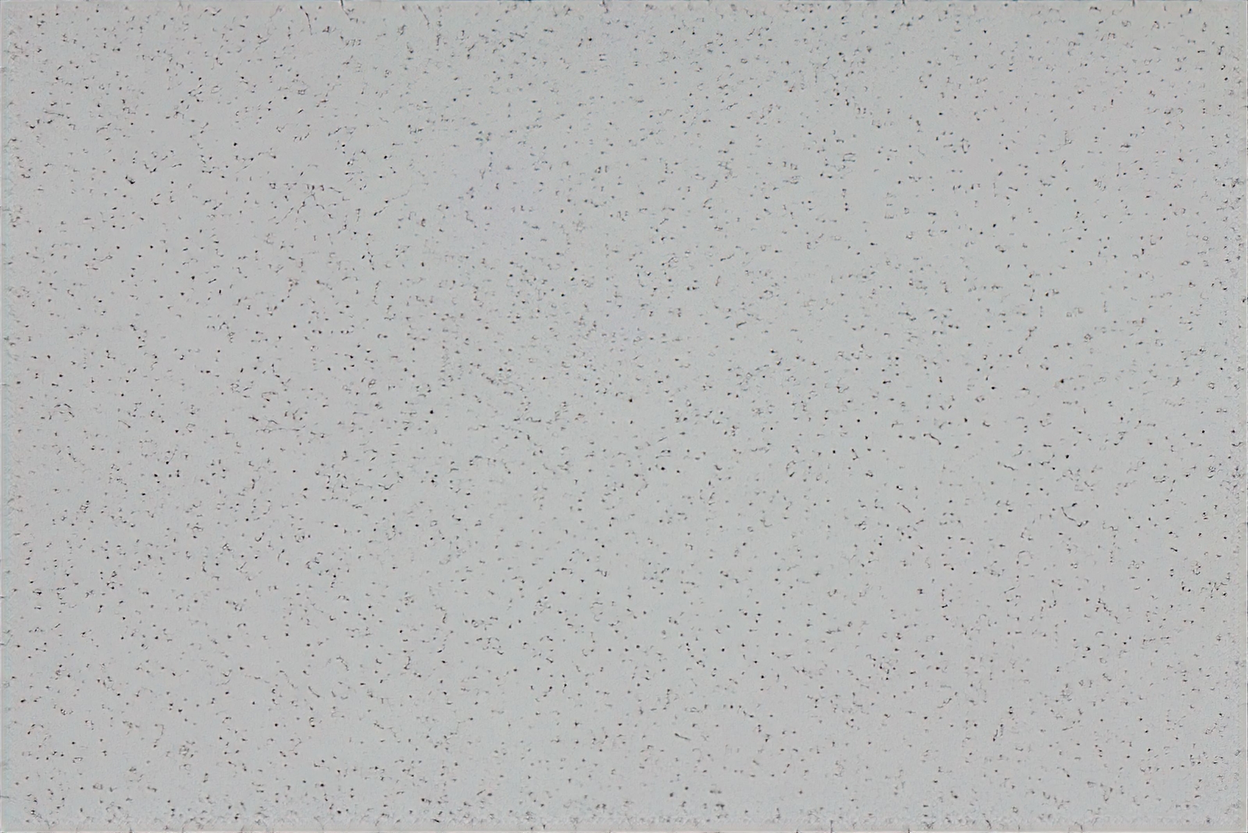 Altro Aquarius - Cygnet