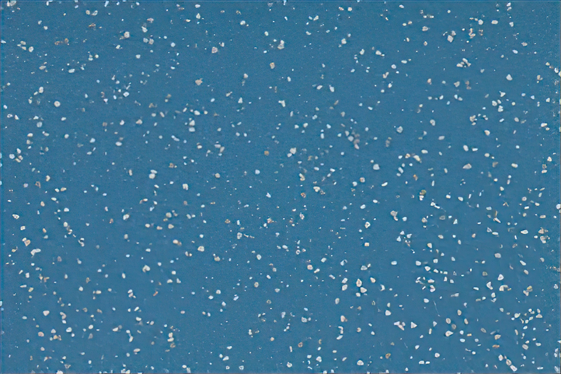 Altro Aquarius - Blue Penguin