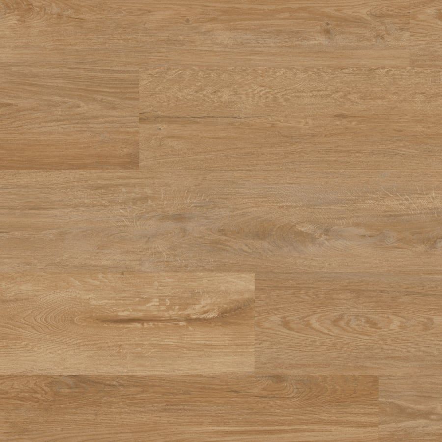 Van Gogh - Croftmore Oak