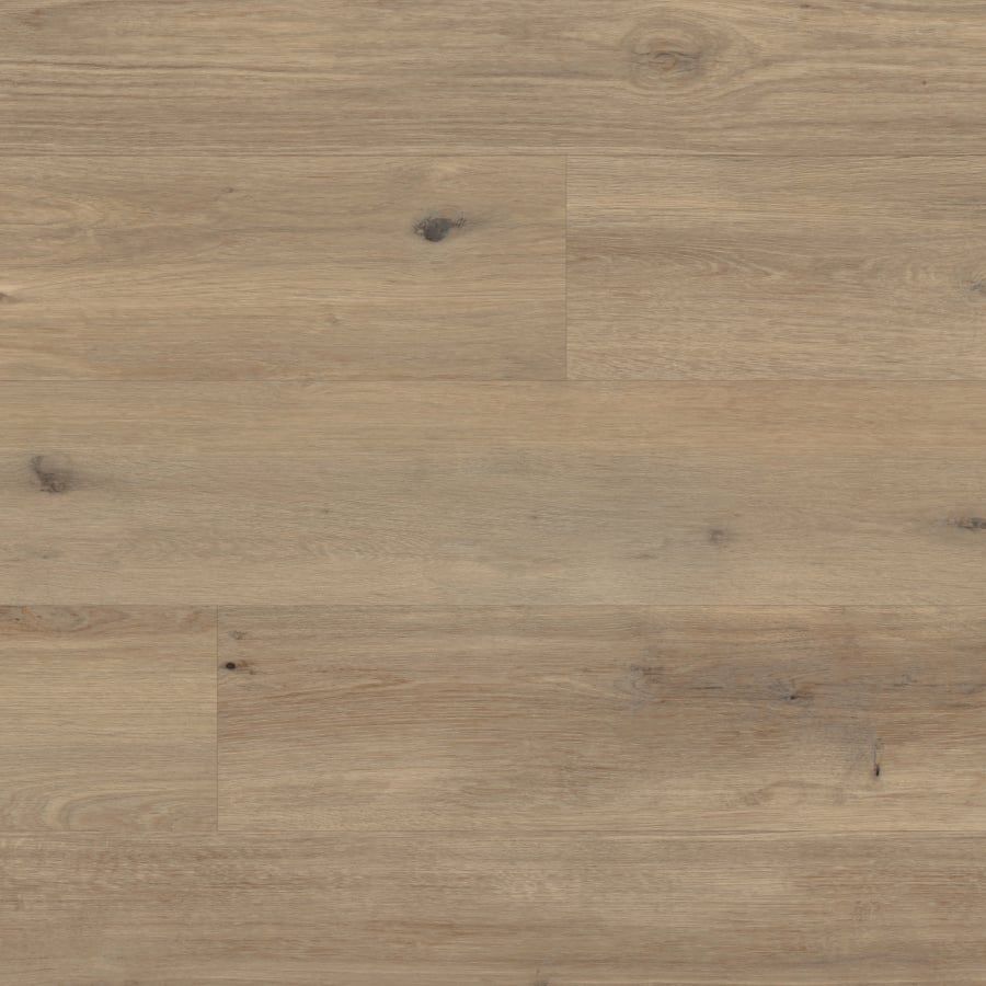 Van Gogh - Canadian Urban Oak
