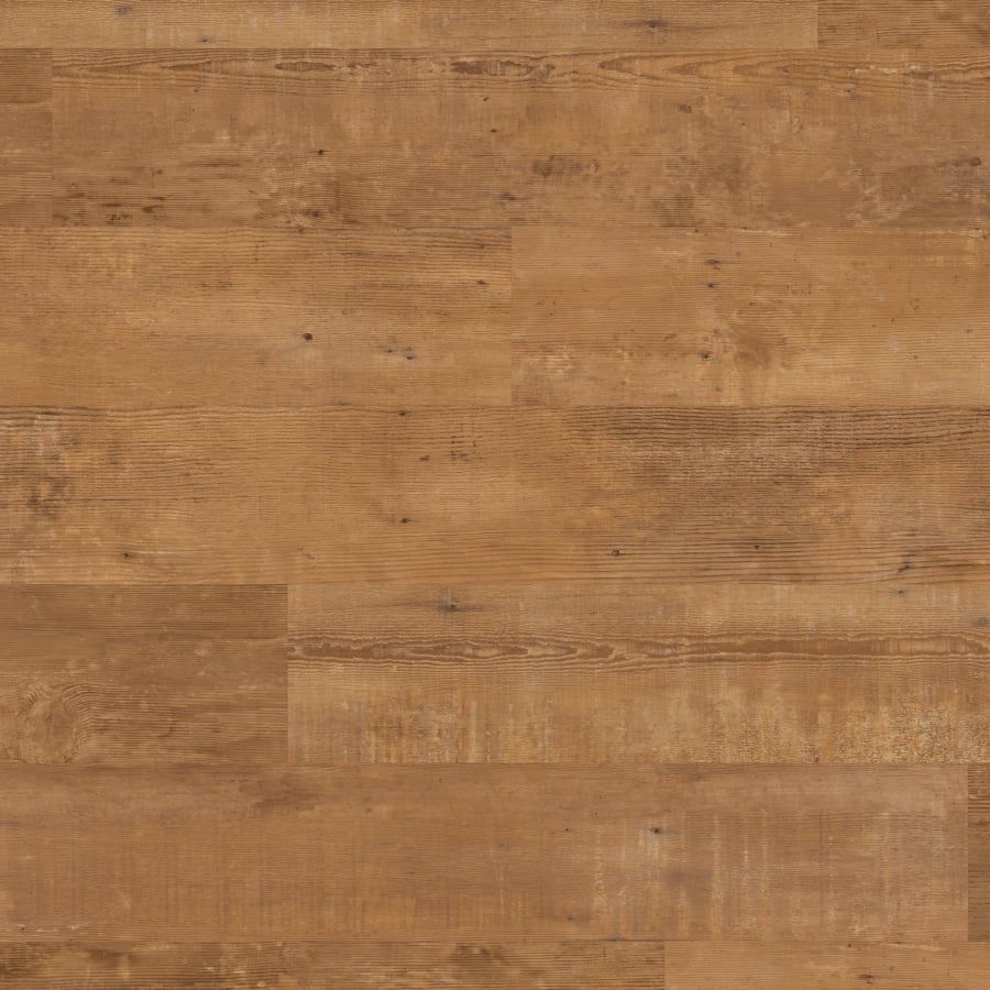 Van Gogh - Natural School Cedar