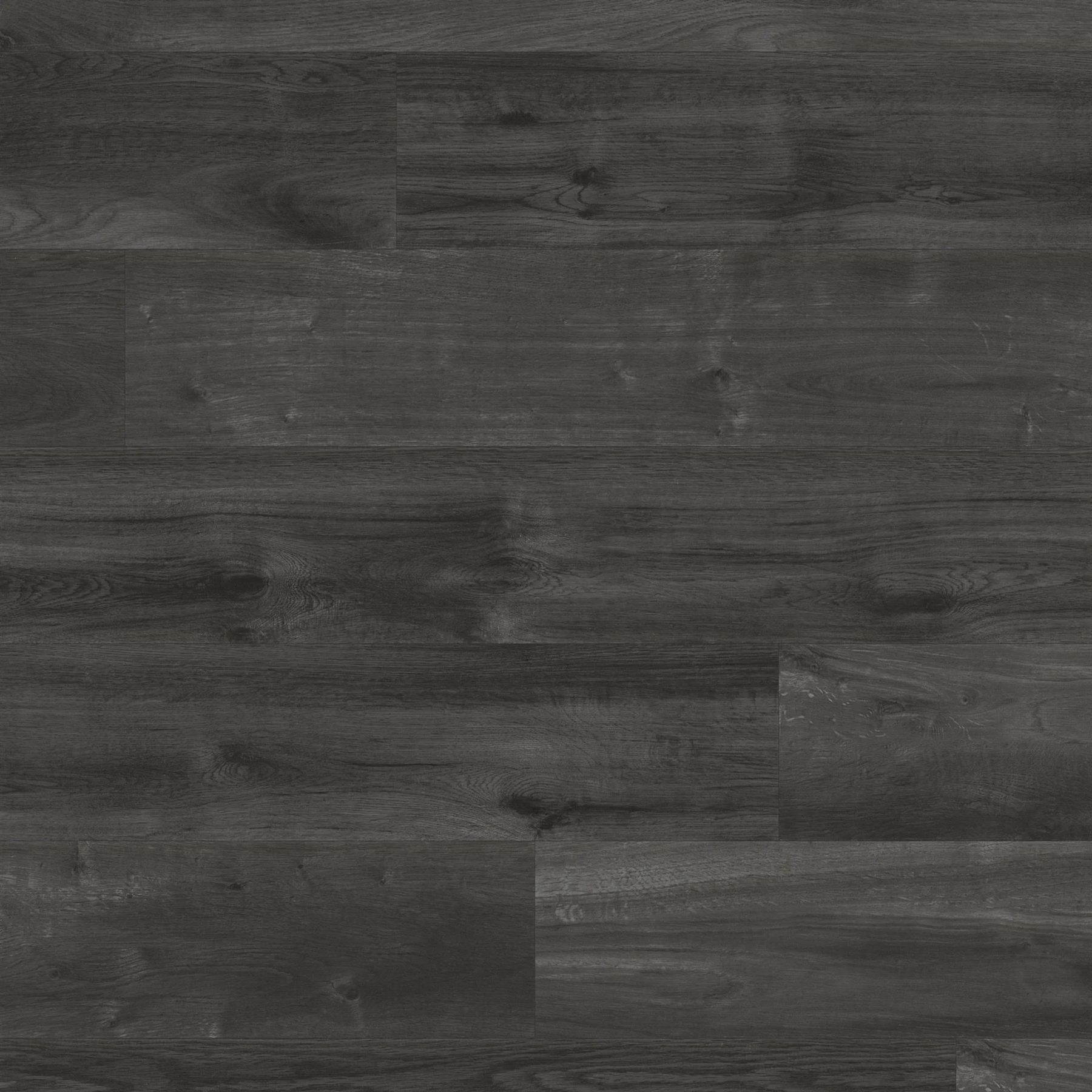 Van Gogh - Ebony