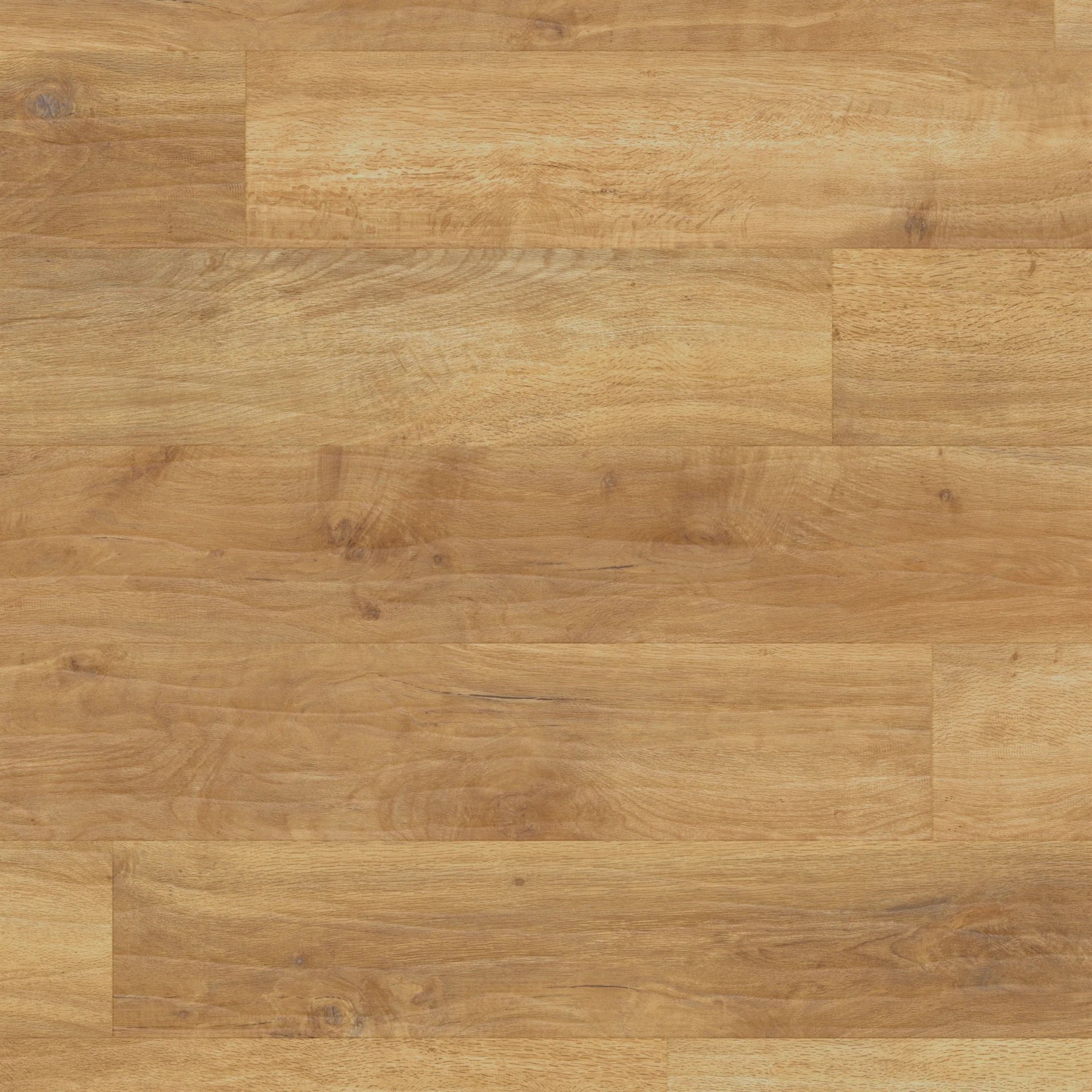 Art Select - Spring Oak