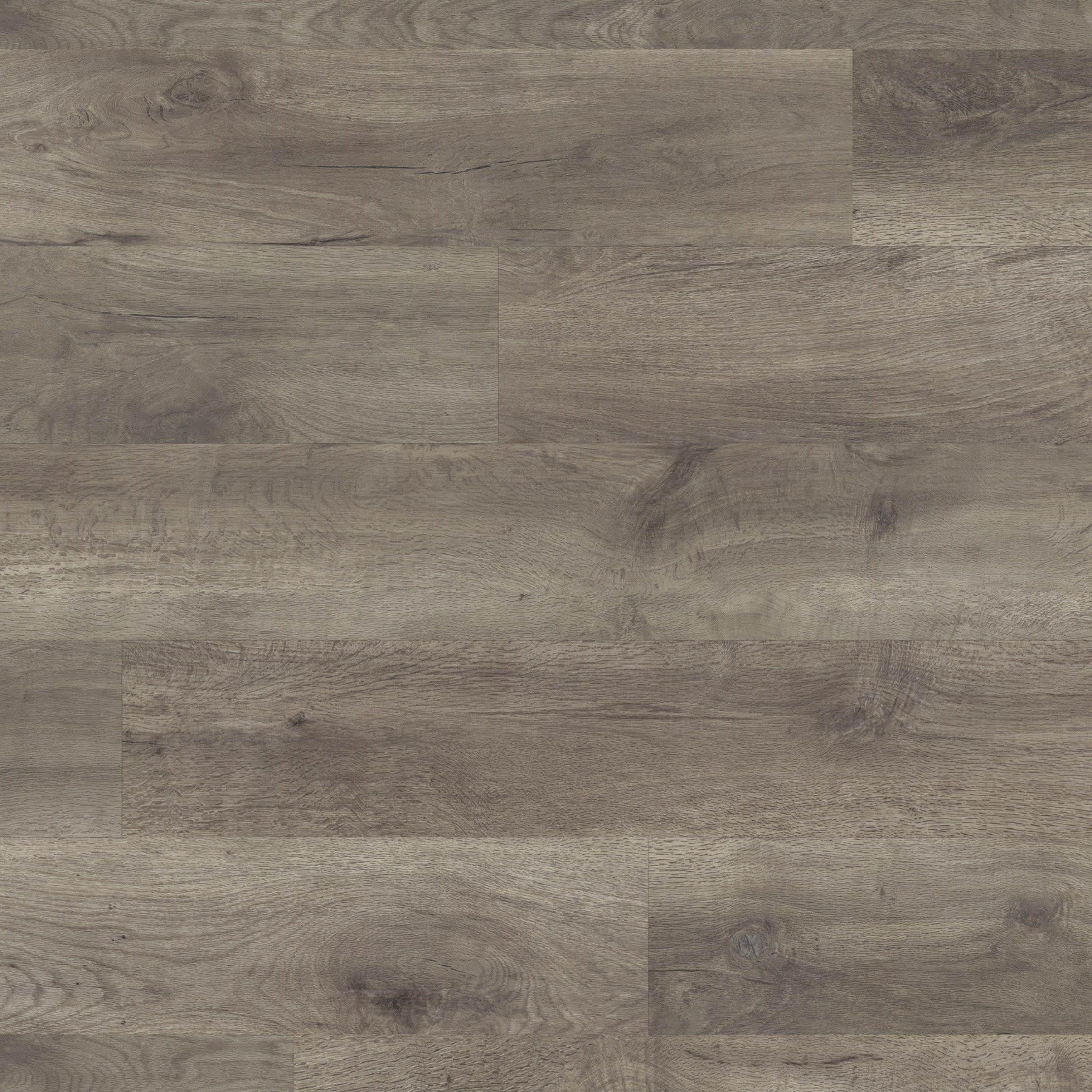 Art Select - Storm Oak