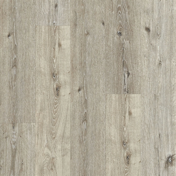 Select Collection Siberian Spruce