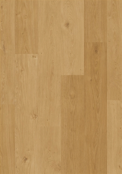 Alpha Blos Coast Oak Honey