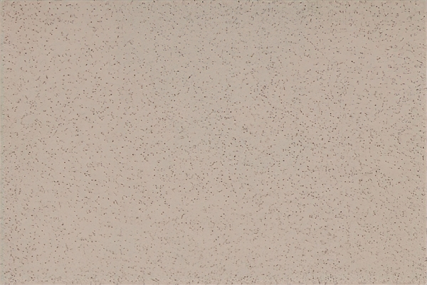 Altro Aquarius Vole