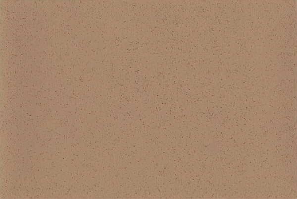 Altro Aquarius Iguana