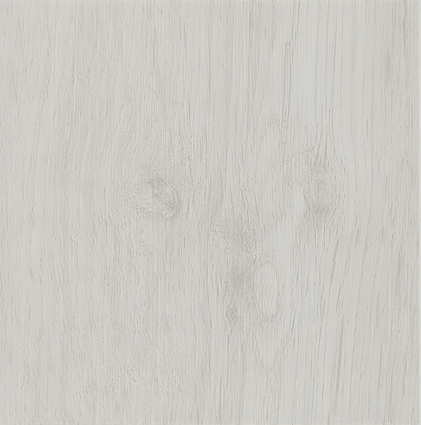 Click+ Arctic Maple