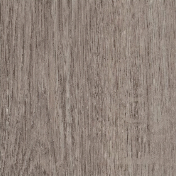 Click+ Winter Oak