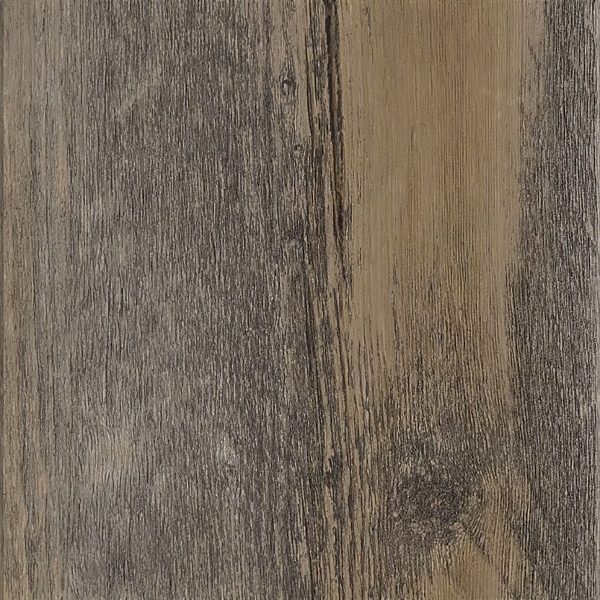 Click+ Sun Bleached Spruce