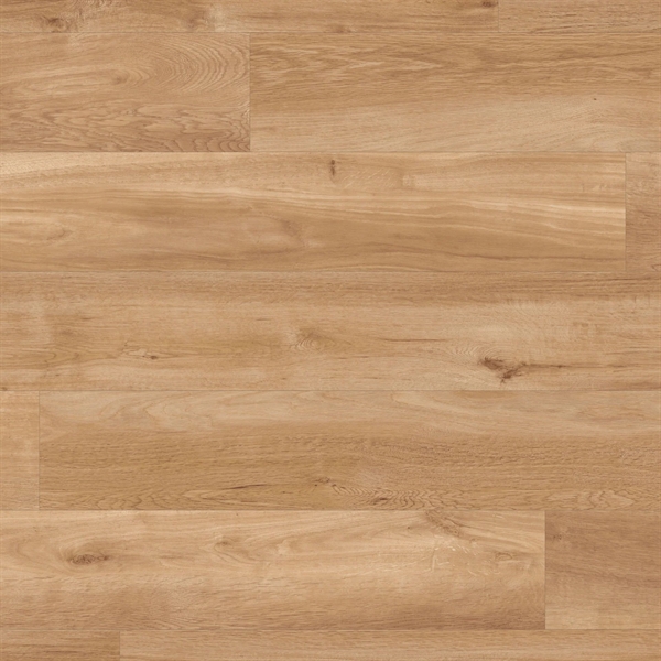 Van Gogh French Oak
