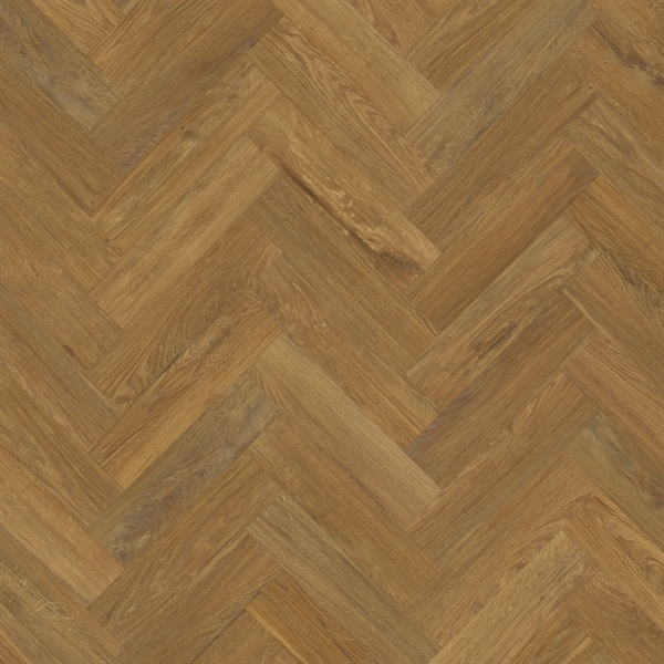 Van Gogh Glenmore Oak