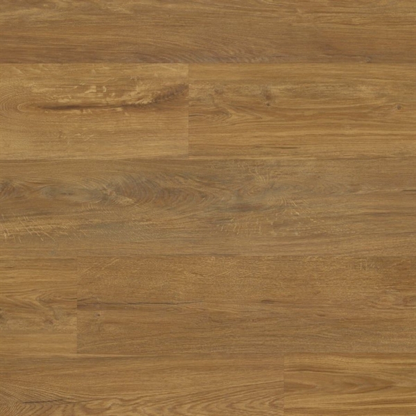 Van Gogh Glenmore Oak