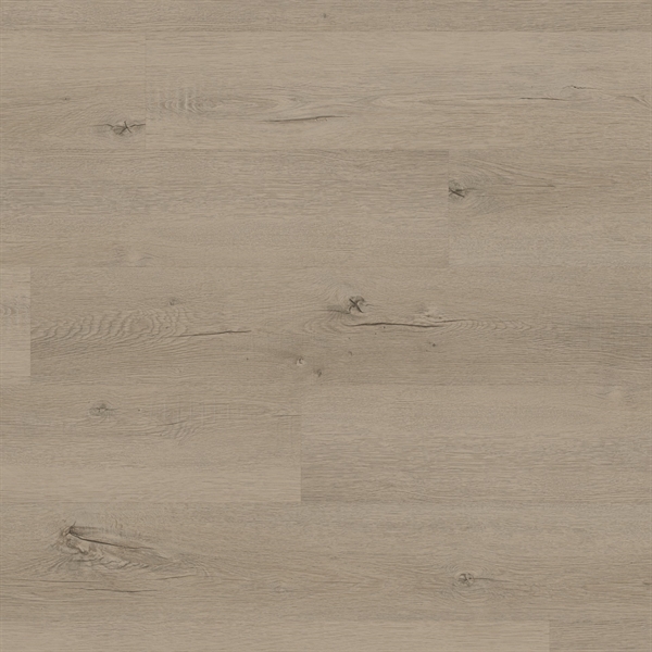 Palio Essenza Elba Oak