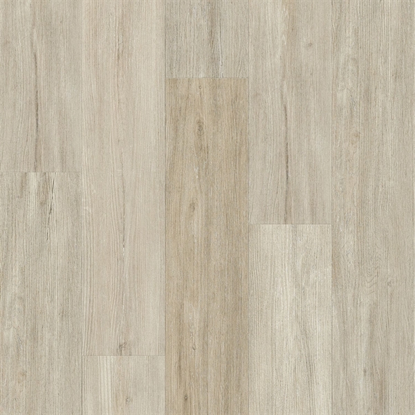 Living Collection White Poplar