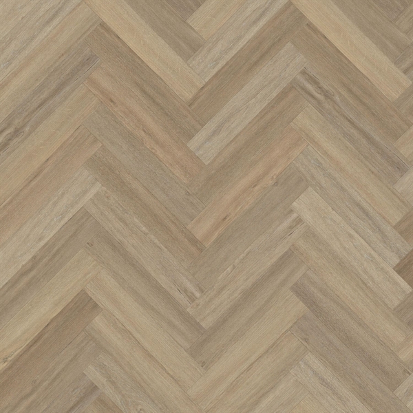 Living Collection Canadian Elm