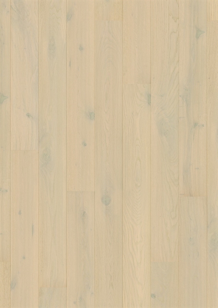 Amato Wintry Forest Oak