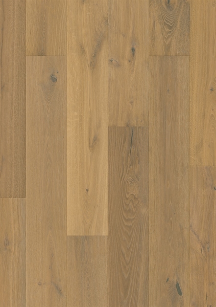 Cascada Mustard Oak