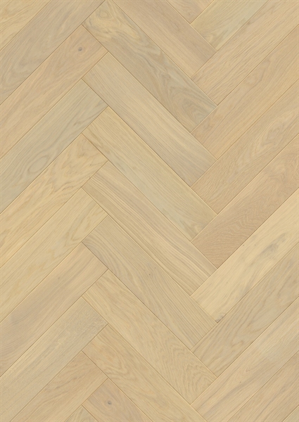Disengo Creamy Oak