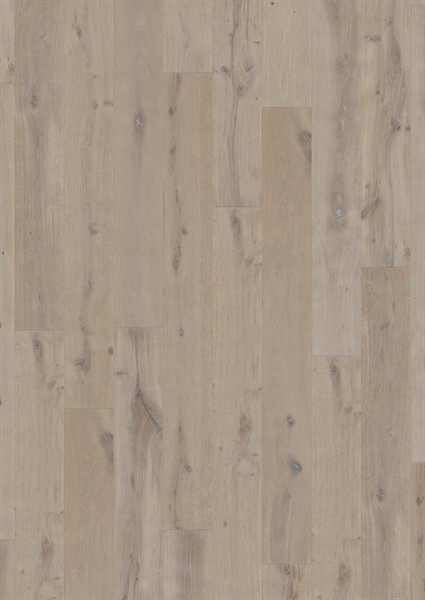 Massimo Winter Storm Oak