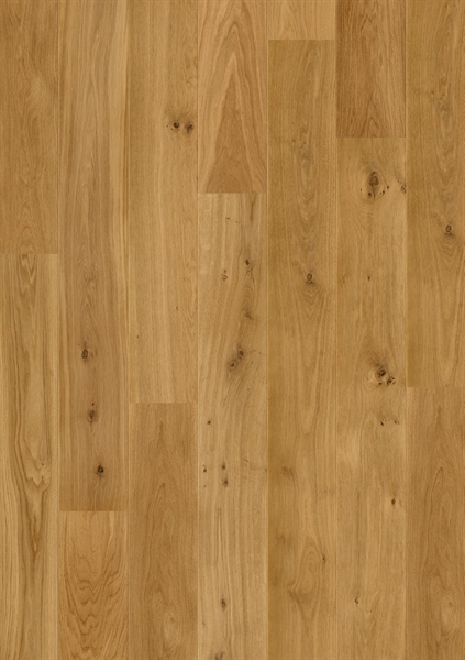 Palazzo Natural Heritage Oak