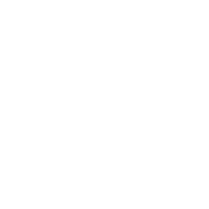 Palio Trade